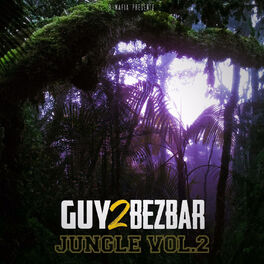 Album cover of Jungle, vol. 2
