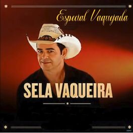 Album cover of Especial Vaquejada