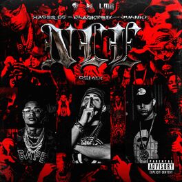 Album cover of NLE (Remix)