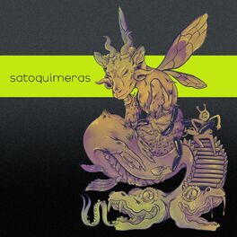 Album cover of Satoquimeras
