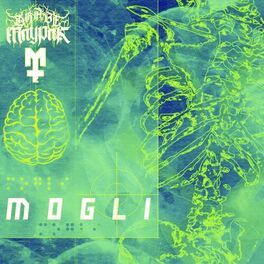 Album cover of Mogli