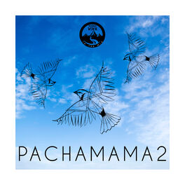 Album cover of Pachamama 2