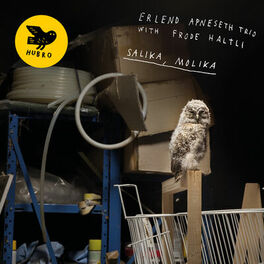 Album cover of Salika, Molika