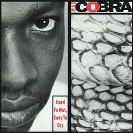 Album cover of Hard To Wet, Easy To Dry