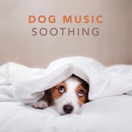 Music soothing hot sale for dogs