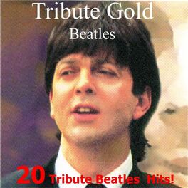 Album cover of 20 Tribute Beatles Hits