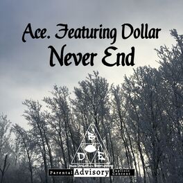 Album cover of Never End (feat. Dollar)