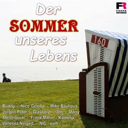 Album cover of Der Sommer unseres Lebens