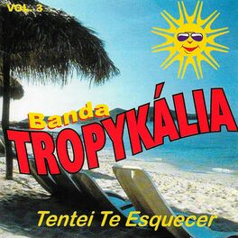 Album cover of Tentei Te Esquecer, Vol. 3
