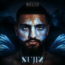Album cover of Nujin