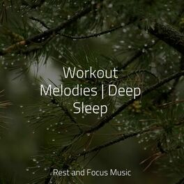 Album cover of Workout Melodies | Deep Sleep