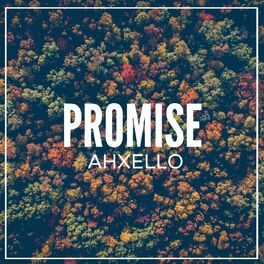 Album cover of Promise