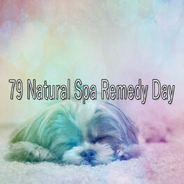Album cover of 79 Natural Spa Remedy Day