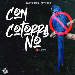 Album cover of Con Cotorra No (feat. Vakero)