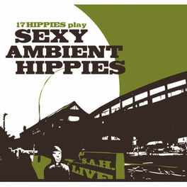 Album cover of 17 Hippies Play Sexy Ambient Hippies