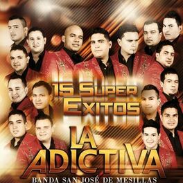 Album cover of 15 Super Exitos