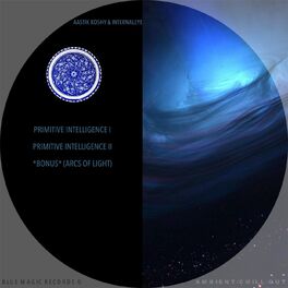 Album cover of Primitive Intelligence