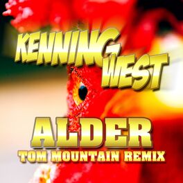 Album cover of Alder (Tom Mountain Remix)