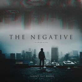 Album cover of The Negative (Instrumentals)