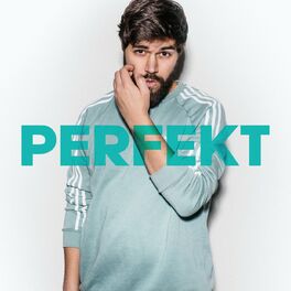 Album cover of Perfekt