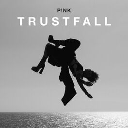 Album cover of TRUSTFALL