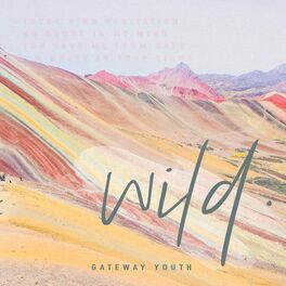 Album cover of Wild