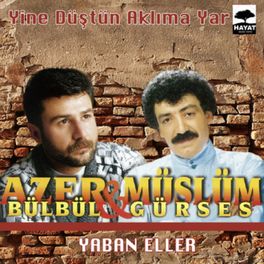 Album cover of Yine Düştün Aklıma Yar / Yaban Eller
