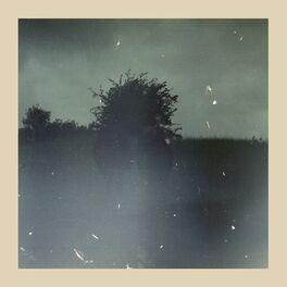 Album cover of Forsvinder