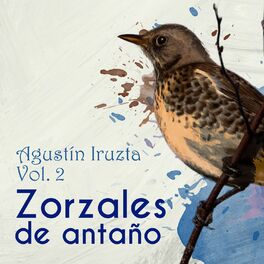 Album cover of Zorzales de Antaño / Agustin Iruzta Vol. 2