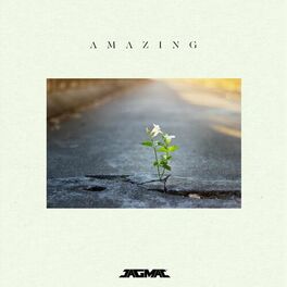 Album cover of Amazing