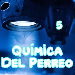 Album cover of Química Del Perreo Vol. 5
