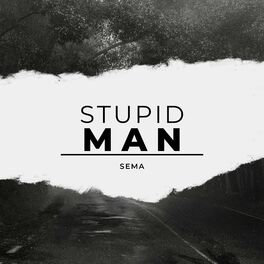Album cover of Stupid Man