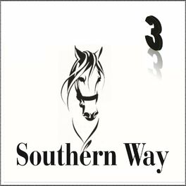 Album cover of Southern Way 3