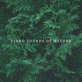 Album cover of Piano Sounds of Nature