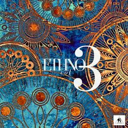 Album cover of Ethno 3