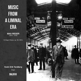 Album cover of Music From a Liminal Era (Album)