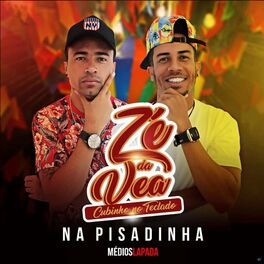 Album cover of Cubinho no Teclado, Na Pisadinha, Médios Lapada