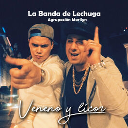 Album cover of Veneno y Licor