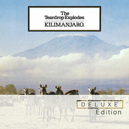 Album cover of Kilimanjaro (Deluxe Edition)