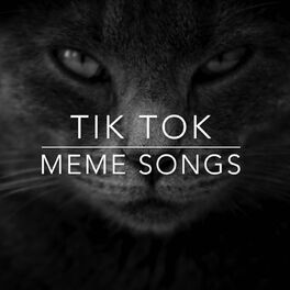 Album cover of Tik Tok Meme Songs