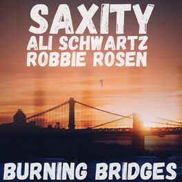 Album cover of Burning Bridges