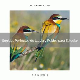 Album cover of Sonidos Perfectos de Lluvia y Ruidos para Estudiar