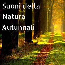 Natura Armonia: música, letras, canciones, discos | Escuchar en Deezer