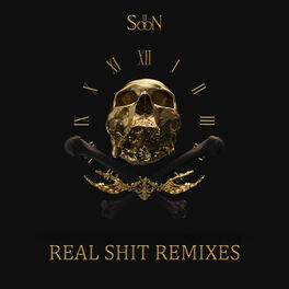 Album cover of Real Shit Remixes
