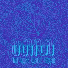 Album cover of No More White Bread