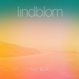 Album cover of Got Silk