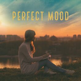 Album cover of Perfect Mood