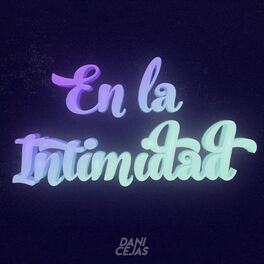 Album cover of En La Intimidad (Mashup En La Intimidad) [Remix]