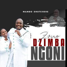 Album cover of Zvinodzimba Ngoni