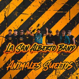 Album cover of Animales Sueltos: Chica Rap / Hechicera / Dile al Mundo Que Te Quiero / Lolita / No Se Olvida / Vivencias / un Poco de Tu Amor / C (En Vivo)